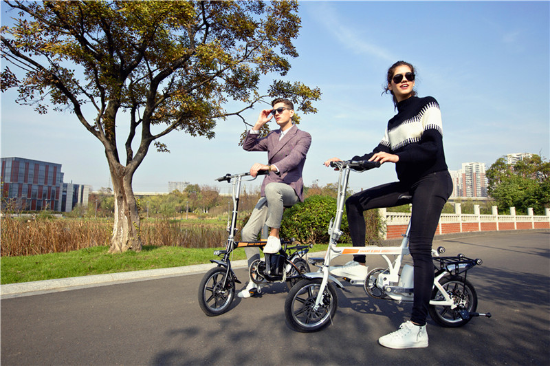 Smart Electric Bike